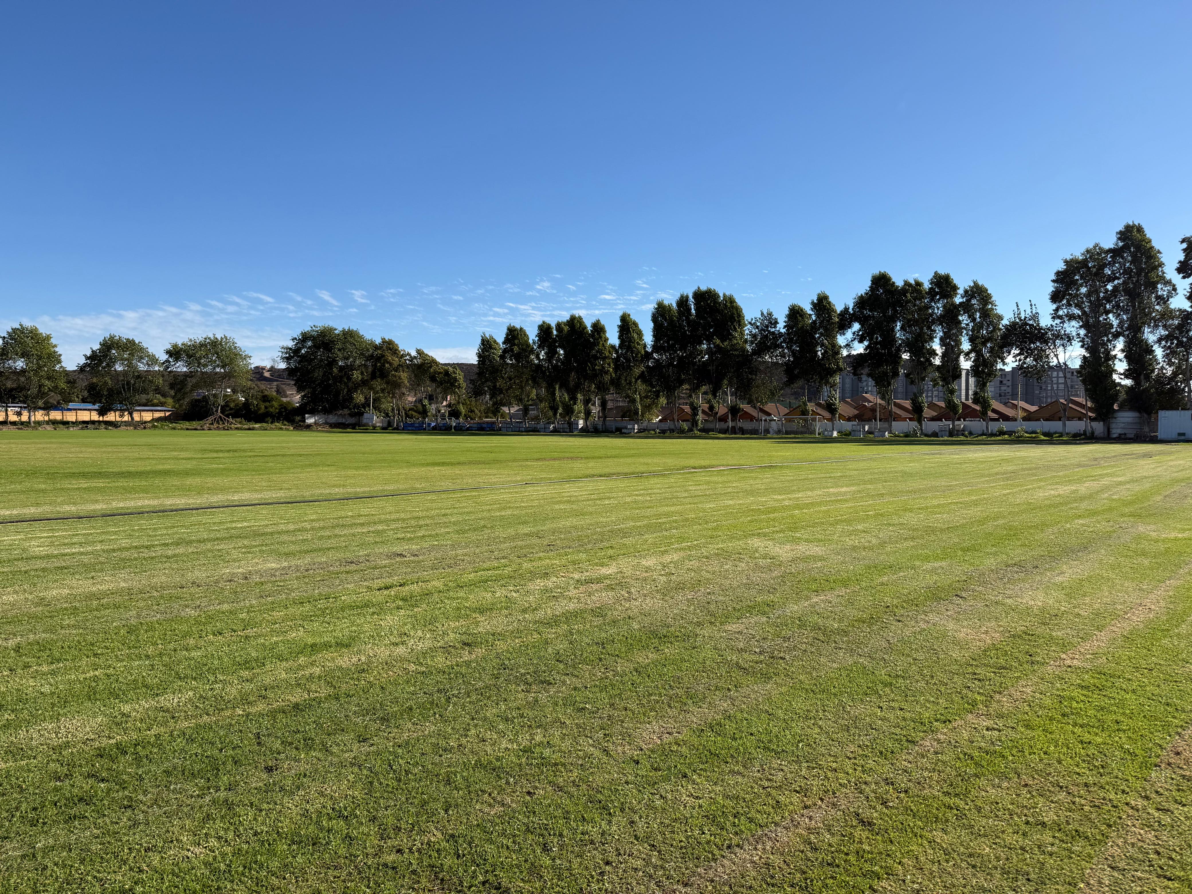 Cancha de pasto natural